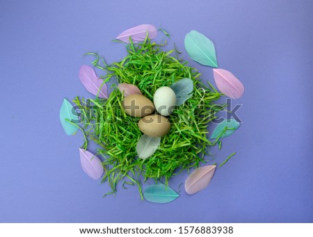 Easter composition with green nest and farm eggs on violet background. Happy Easter.