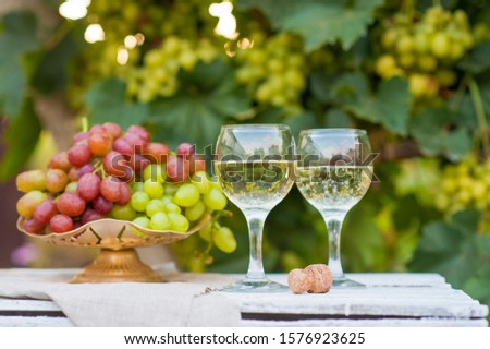 Two glasses with white wine against the setting sun and a vineyard with bunches of white grapes