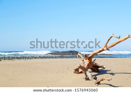 Hole in the Wall Coffee Bay Eastern Cape Royalty-Free Stock Photo #1576945060