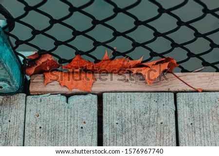 Vivid orange and teal leaves against fenced suspended bridge over a river in north georgia near the mountains and forest. Moody feel for seasons