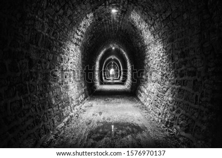 tunnel of the old railway on the Asiago plateau near Vicenza, Italy.