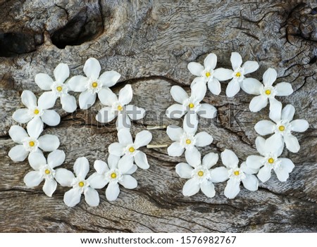 White flowers arranged in a circle on wooden background.Top view with copy space.Vintage style.