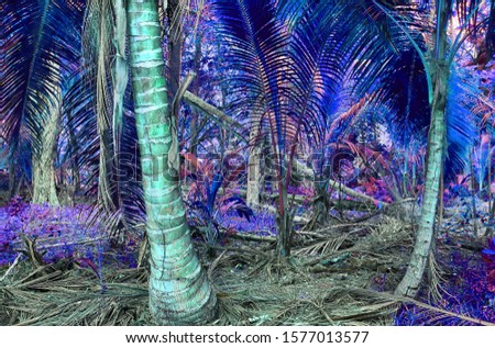 Beautiful pink and purple infrared shots of tropical palm trees on the Seychelles