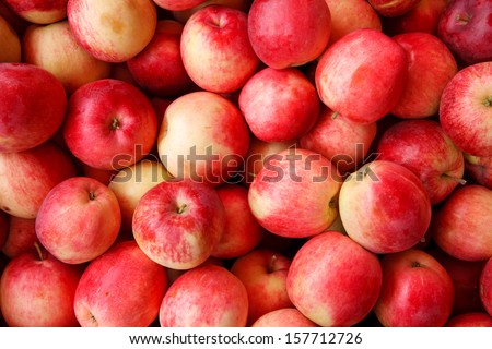 Ripe red apples? / HD stock photo of ripe apples 