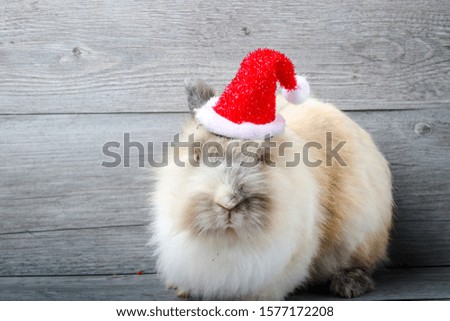 Merry Christmas. Brown furry rabbit wearing red Santa Claus hat. Wooden backdrop.