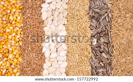 Cereals and seeds