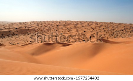 dunes in the Sahara desert, Tunisia