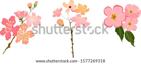 Branch of Plum blossom flower on white.Free hand Sakura flower vector set, Beautiful line art Peach blossom isolate on white background
