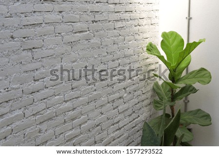 white brick design of wall room background