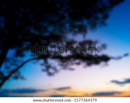Defocused image of sunset and silhouette trees. Landscape nature twilight sky. Beautiful colorful background. Warm colors. Amazing evening scene