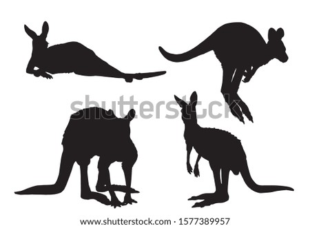 Graphical set of kangaroo isolated on white background,vector illustration 