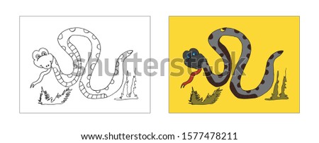 Snake coloring book design with monochrome and colored versions. Freehand sketch for adult anti stress coloring book page with doodle elements. Vector Illustrations for kids book.