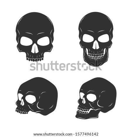 Set of Skulls isolated on white.Halloween elements. Vector illustration.