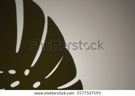  Top view of green tropical leaf shadow on gray background. Minimalism. Shadow from a monstera sheet a gray background.