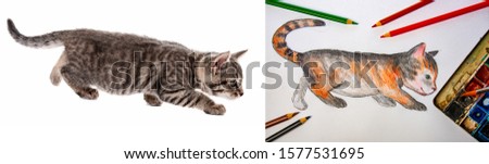 a watercolor picture of little cat with pencils and colors and model photo