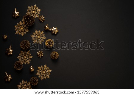 Christmas - Christmas ornament Pine cones and branches  On the snow
