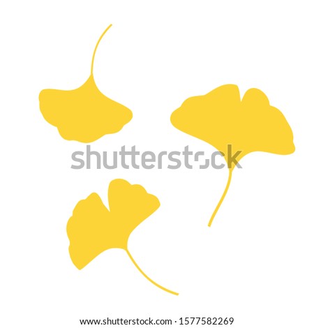 Ginkgo leaves falling on white background vector illustration.