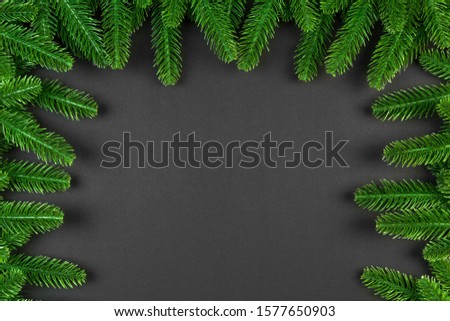 Top view of green fir tree branches on colorful background. New year holiday concept with empty space for your design.