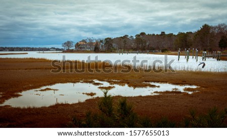 Widescreen photo of flooded golden marsh with  dramatic cloudscape 