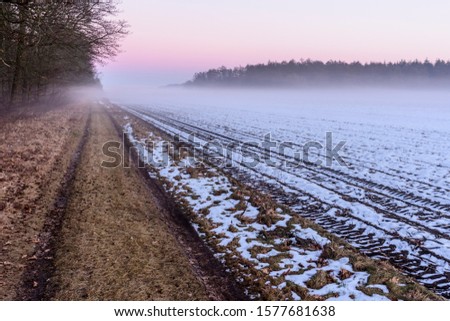 Wintery road at the edge of the forest with ground cover above agricultural fields.