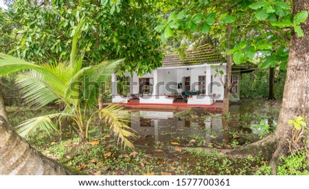 Alleppey Kerala India Backwaters with Palm Trees just after monsoon season
