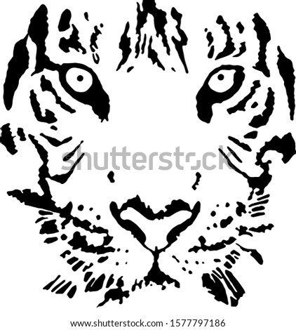 tiger head close-up vector graphic
