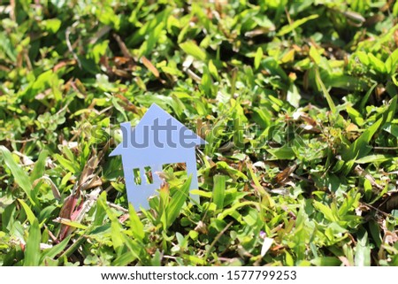 paper home in green grass field