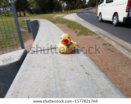 Dirty Rubber duck, all alone.