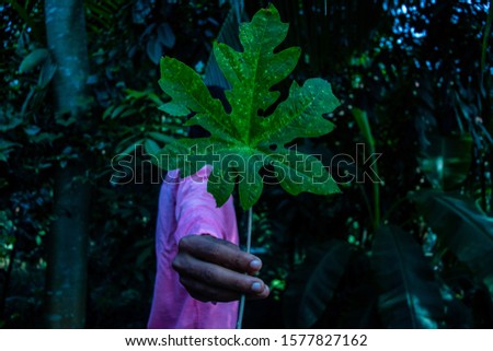 Green leaf on a hand dark photo. 
