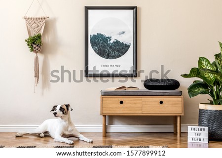 Scandinavian and design home interior of living room with wooden commode,rattan basket with plants, and elegant accessories. Stylish home decor. Template. Mock up poster frame. Dog lying on the floor.