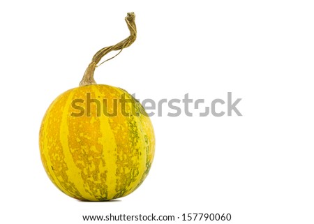 Picture of a small pumpkin on a white background.