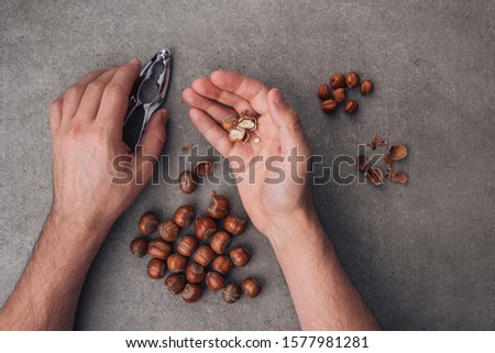 A man pricks nuts. Whole and peeled hazelnuts on a gray surface. Gray background. Top view.