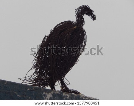 The wire vulture observes everything