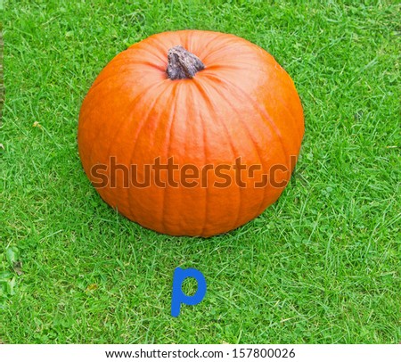 blue letter p phonic picture with big orange pumpkin on grass