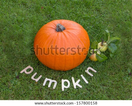 pumpkin with label and two apples on grass