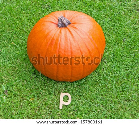 p is for pumpkin alphabet picture with wooden letter lower case p