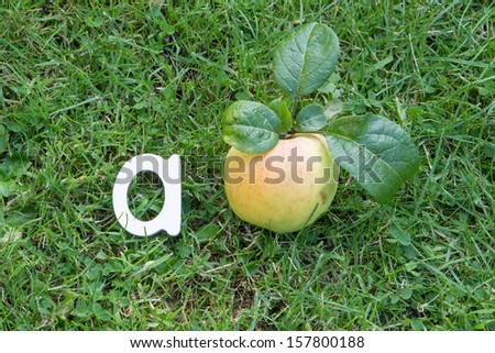wooden a is for apple alphabet picture on grass