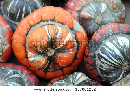 pumpkins at market place 