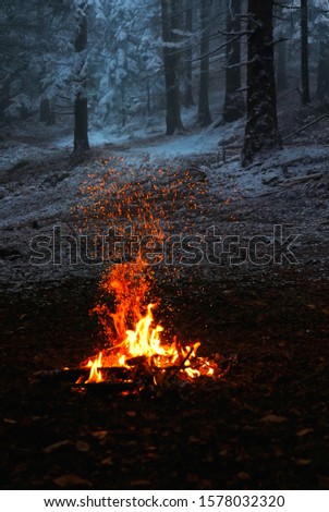 A fire burned by scouts in the depths of the forest.