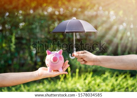 Woman hand hold a piggy bank and open the black umbrella for protect put in the  wood on sunlight in the public park, to prevent for money and loans to planned investment in the future concept.