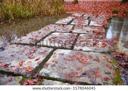 Nice rough pavement in autumn, over a pond.