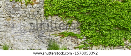 Beautiful overgrown castle wall in poster size
