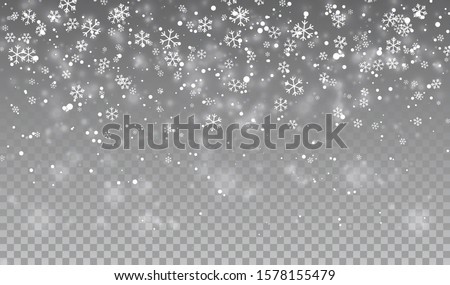 Falling snowflakes on transparent background. Christmas snow. Vector illustration. Royalty-Free Stock Photo #1578155479