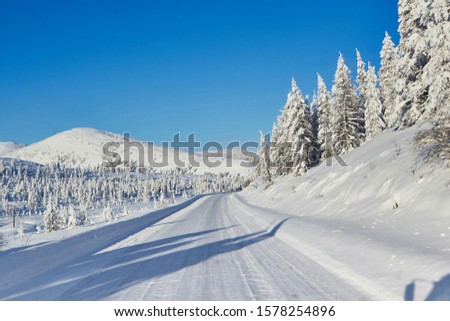 Winter road in the mountains surrounded by snowy larch