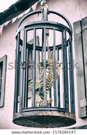 A skeleton in a cage hanging on the background of an old house. Cage with pirate bones inside, close up