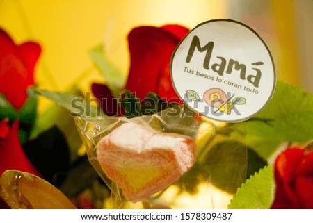 Message for mother's day in Spanish (MAMA, your kisses heal them all), written on a white cardboard in a circular shape