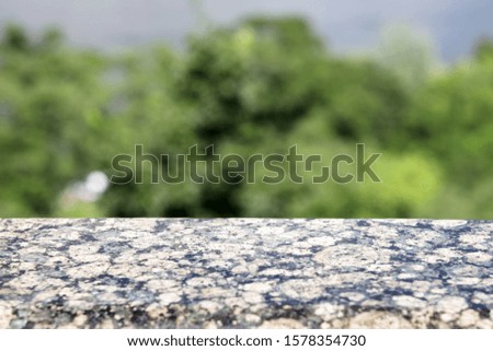 Marble table on nature green blurred background, for the installation of your products.