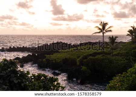 Beautiful, peaceful sunrise over the ocean with volcanic rocks and a palm tree in the foreground. Shot in Waianapanapa State Park, Maui Hawaii. 