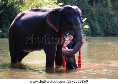 Beautiful lady and  Elephant portrait in the Natural Environment Chiang Mai Thailand