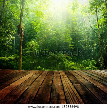 Wooden floor perspective and green forest with ray of light. Royalty-Free Stock Photo #157856498
